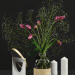 Pink tulips and Gypsophila set