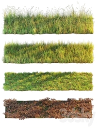 Set of grass and leaves