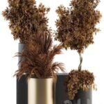 Indoor Plant Set 91 – Black and Gold (Red Plant)
