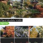 MAXTREE – Plant Models Vol 86