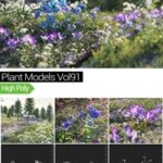 MAXTREE – Plant Models Vol 91