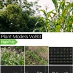 MAXTREE – Plant Models Vol 93