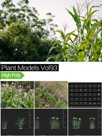 MAXTREE - Plant Models Vol 93