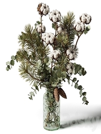 Bouquet of eucalyptus, pine and cotton in a glass vase