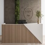 Reception Desk and Wall Decoration – Set 08