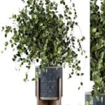Indoor Plants in rusty Concrete Pot – Set 244