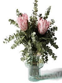 Bouquet with three pink proteas and eucalyptus in a glass vase