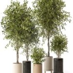 Indoor Plants in Ferm Living Bau Pot Large – Set 354