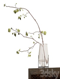 Branch in a vase