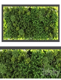 vertical garden169