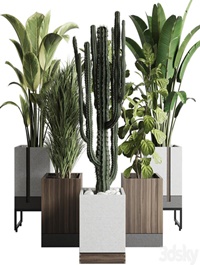 Plant Box Indoor Outdoor Plant 163 – 3D Model