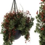 Hanging Pot plant – Set 102