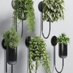 collection Indoor plant 135 vase metal stand wall plant