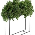 Black Box Plants on stand – Set 80