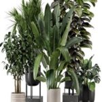 Indoor Plants in Ferm Living Bau Pot Large – Set 879