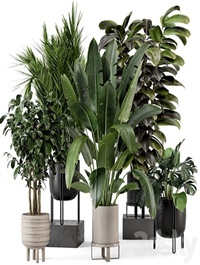 Indoor Plants in Ferm Living Bau Pot Large - Set 879
