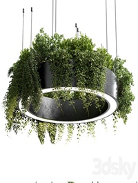 circle pot light - pendant plant light hanging 05