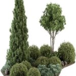 Garden Set Topiary and pine Plants – Outdoor Plants Set 410