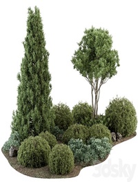 Garden Set Topiary and pine Plants - Outdoor Plants Set 410