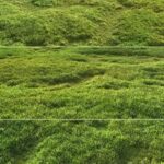Tileable grass