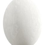 7 Plaster – Work White