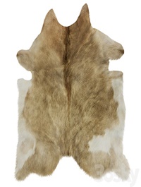 European Rug Cowhide 13