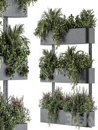 Indoor Plant Set 306 - Box Stand with Hanging Plants