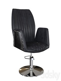 Barber chair "Infinity"