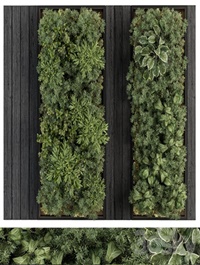 Vertical Garden Black Frame - Wall Decor 38