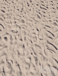 Sand beach_4