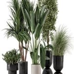 Indoor Plants in Ferm Living Bau Pot Large – Set 312