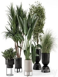Indoor Plants in Ferm Living Bau Pot Large - Set 312