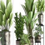 Plant Collection 361. luxury flowerpot, Philodendron, monstera, banana, palm grass, indoor plants, luxury, interior, strelitzia
