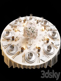 Table setting 11