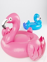 Swimming Flamingo