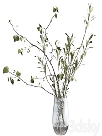 Bouquet of branches