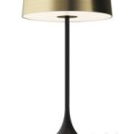 China Seed Design Table Lamp