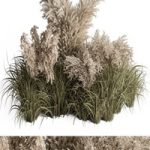 Mixed Pampas Plant Bush Set 95