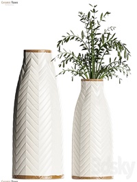 Crate & barrel - Adra Vases with Plants