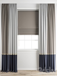 Curtain 655