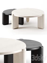 Bone coffee table by Radnor