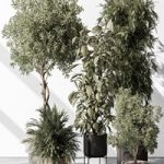 Indoor Plant 531 -Tree in Pot