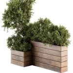 Outdoor Plants tree in Wood Box – Set 154