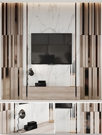 Wall panel with TV