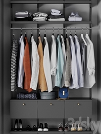 Wardrobe, wall module, clothing