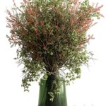 Bouquet – Green Branch 115