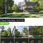 3D MaxTree Plant Models Vol 100