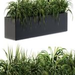 Ranch Grass plants in box – Outdoor Set 63