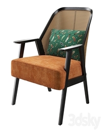 Roche bobois weg armchair