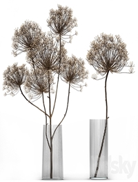 Bouquet of dried flowers in a glass vase with dry branches Hogweed . 158.
